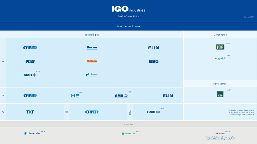 Organigramm IGO Industries (Stand 18. Juni 2014)